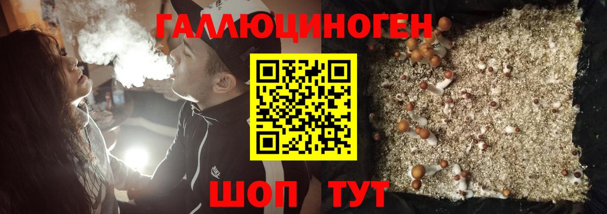 Свободный  Галлюциногенные грибы Magic Shrooms  Вход с VPN 