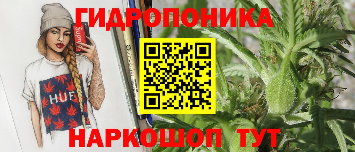 МАРИХУАНА конопля Свободный